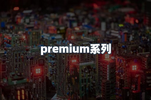 premium系列